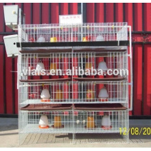 Guangzhou chicken cage for sale, cheaper quail farming/bird cages with good quality